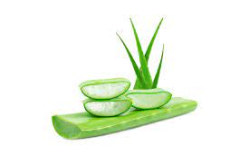 Masque aloe vera