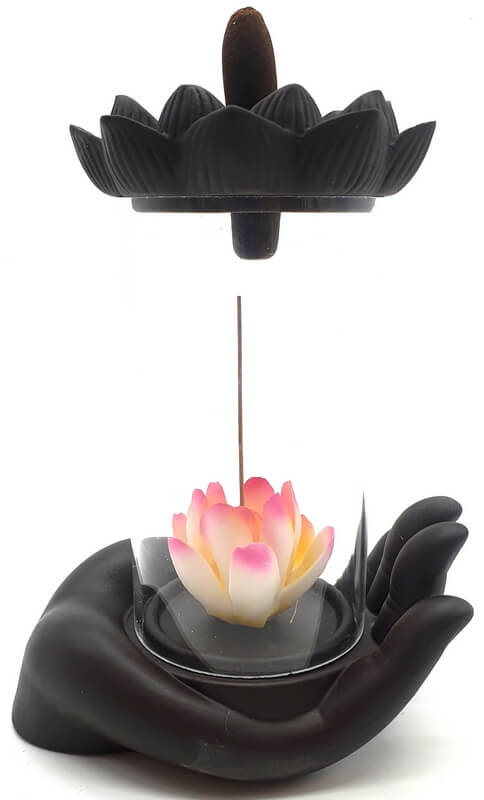 Main Lotus 20cm